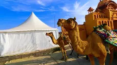 Rannotsav or Rann Utsav will see an easing of liquor rules soon Rannotsav or Rann Utsav will see an easing of liquor rules soon