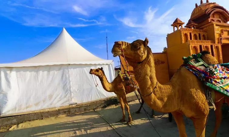 Rannotsav or Rann Utsav will see an easing of liquor rules soon Rannotsav or Rann Utsav will see an easing of liquor rules soon