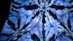 Serendipity art festival Serendipity art festival