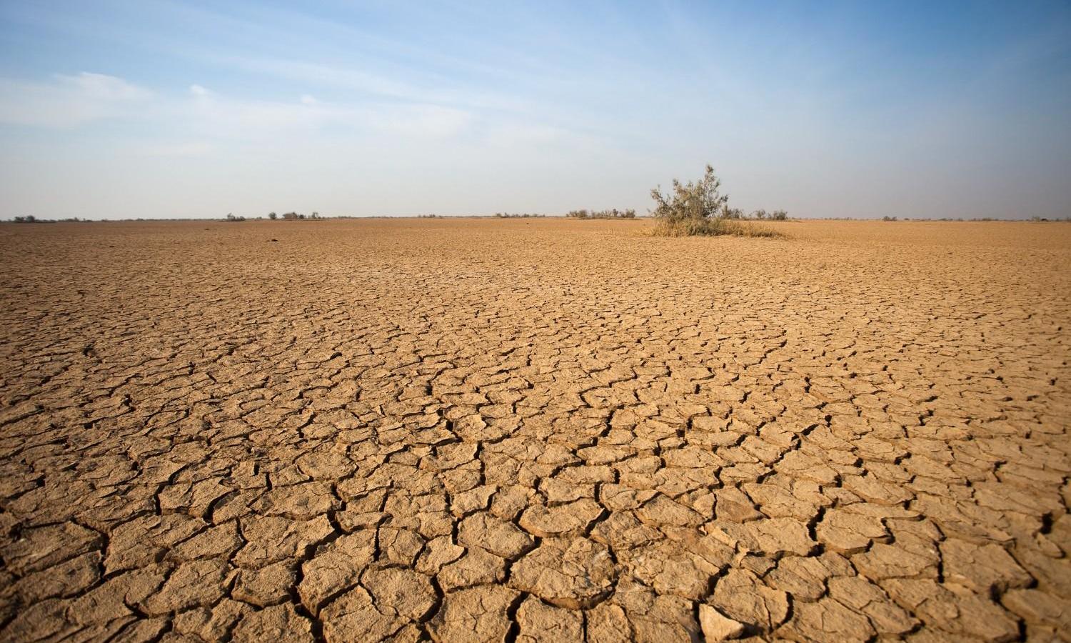 How India is using its climate crisis to wage a diplomatic war for grants