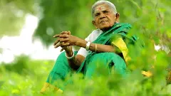 Saalumarada Thimmakka