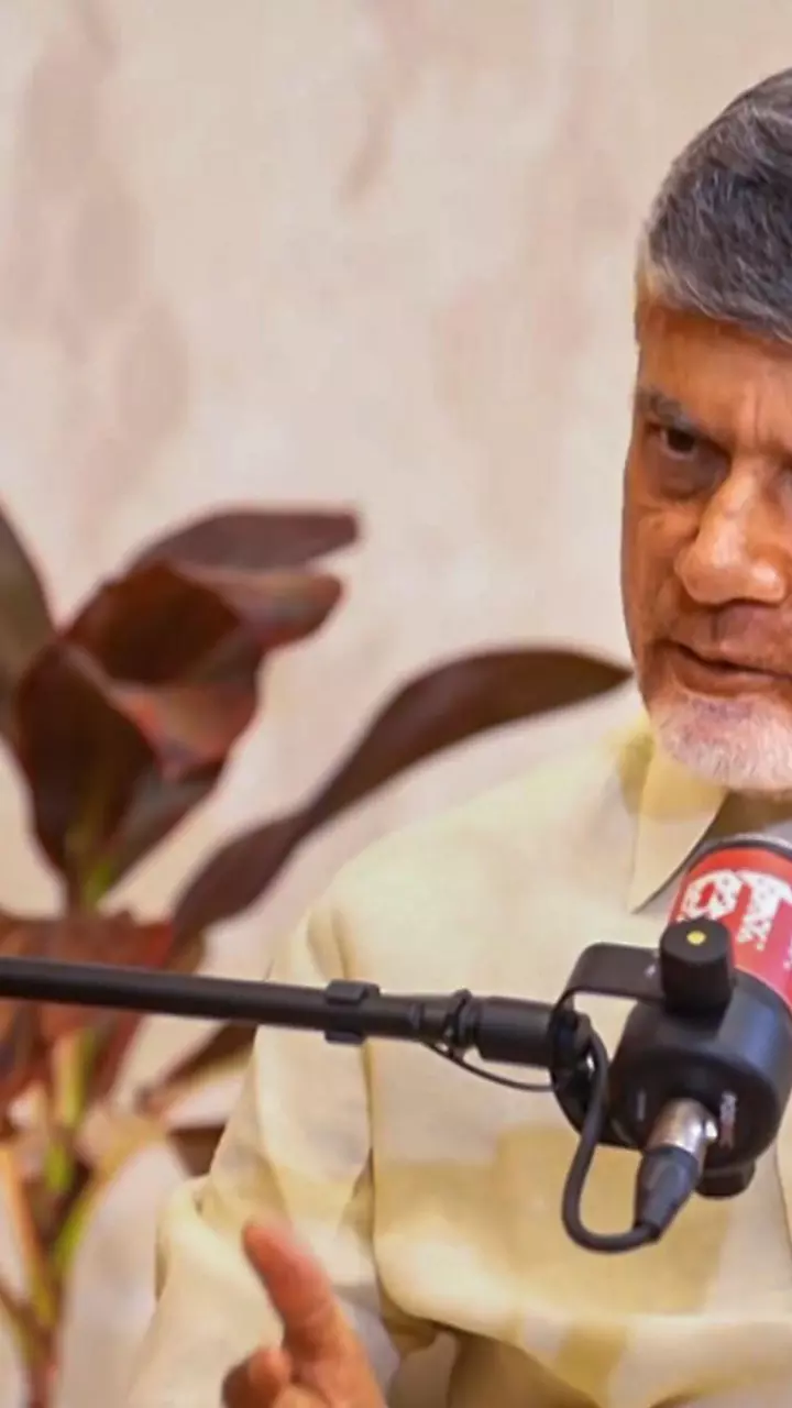 Chandrababu Naidu H-1B curbs a temporary setback; cost-advantage will bring US around Chandrababu Naidu H-1B curbs a temporary setback; cost-advantage will bring US around