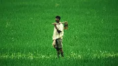 Karnataka farmer suicide