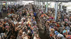 pilgrims at the Sabarimala temple