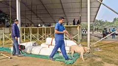 Intense lobbying for Bihar cabinet berths, JD (U), BJP both want Speaker