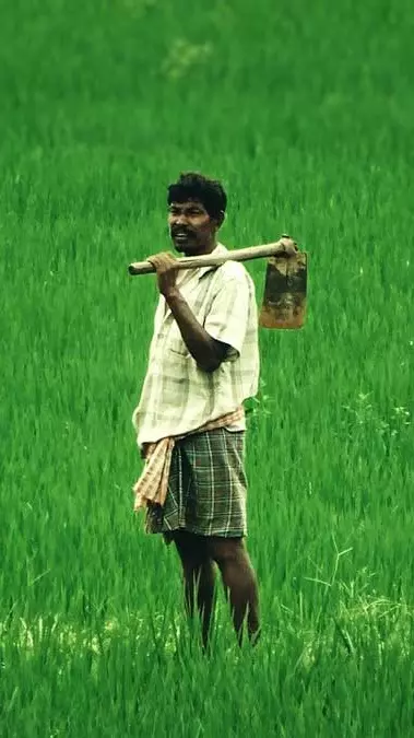 Karnataka farmer suicide