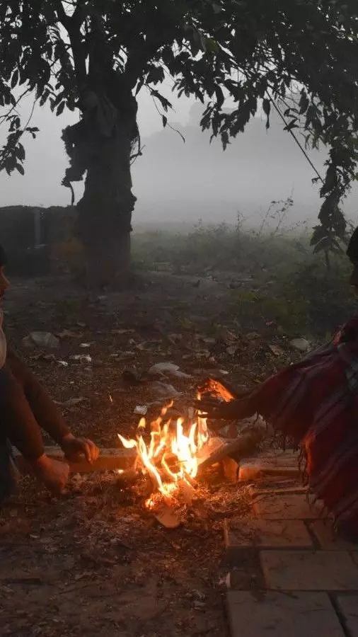 Cold wave in Telangana