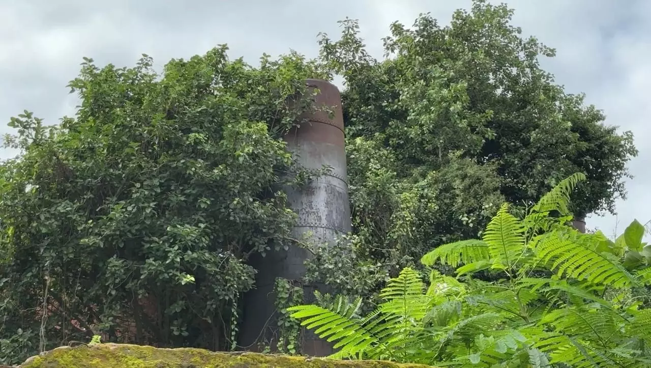 A section of mill, lost in the wilderness. Photo: Nadim Ahmed A section of mill, lost in the wilderness. Photo: Nadim Ahmed