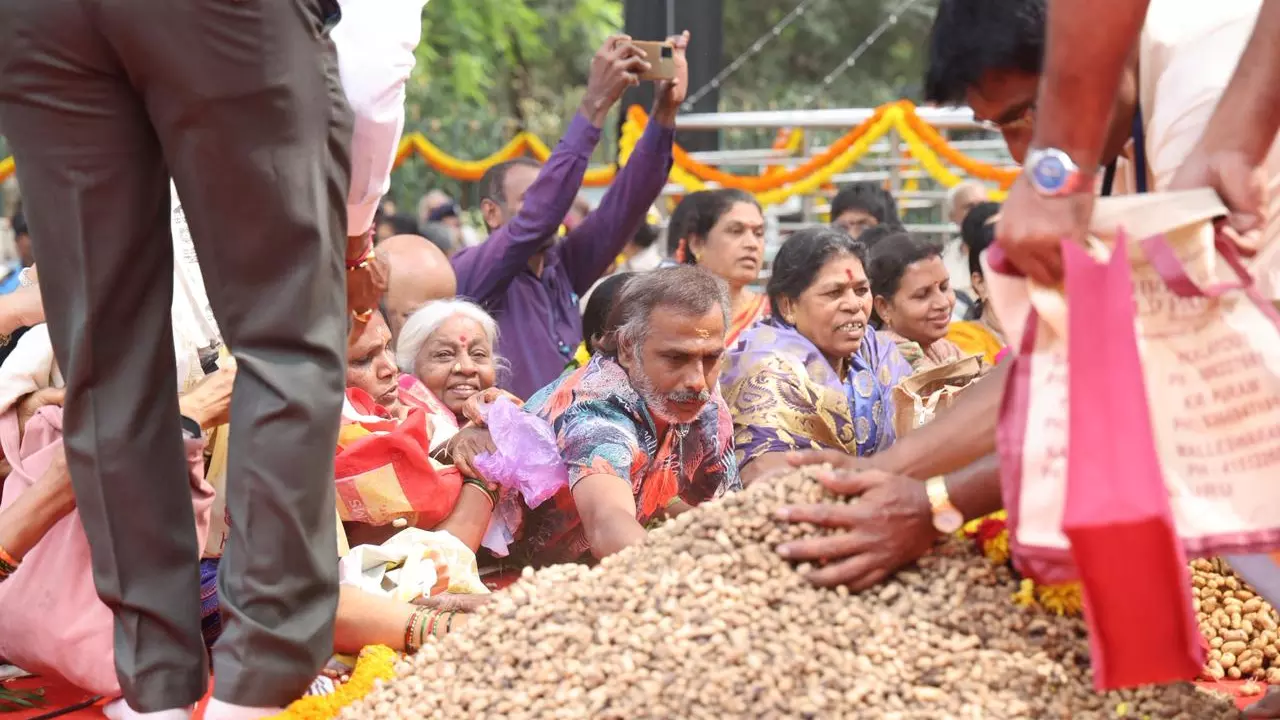 How a groundnut festival to appease a bull became a part of Bengalurus cultural calendar