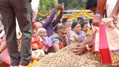 How a groundnut festival to appease a bull became a part of Bengalurus cultural calendar