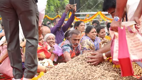 How a groundnut festival to appease a bull became a part of Bengalurus cultural calendar