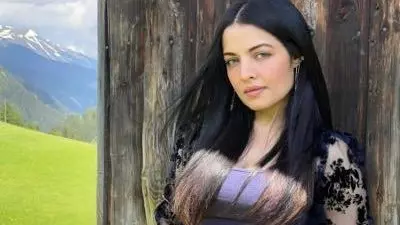 Celina Jaitly domestic abuse case