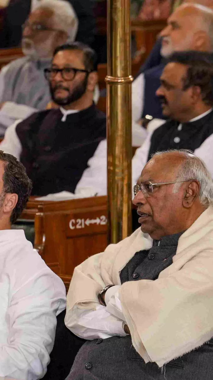 Congress Bihar-rout review sweeps aside ticket selling allegations, shifts blame to vote chori