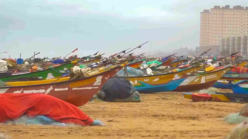 Cyclone Ditwah: Three dead, widespread crop damage in Tamil Nadu amid heavy rains Cyclone Ditwah: Three dead, widespread crop damage in Tamil Nadu amid heavy rains
