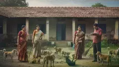 Karnataka burdens its teachers with new duty: Controlling stray dogs