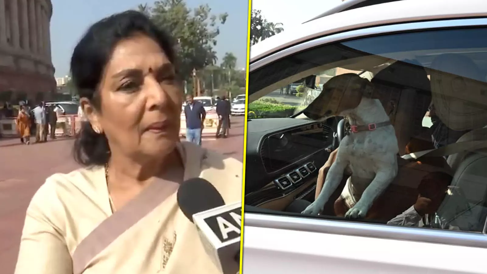 Congress MP Renuka Chowdhury and her stray dog Congress MP Renuka Chowdhury and her stray dog