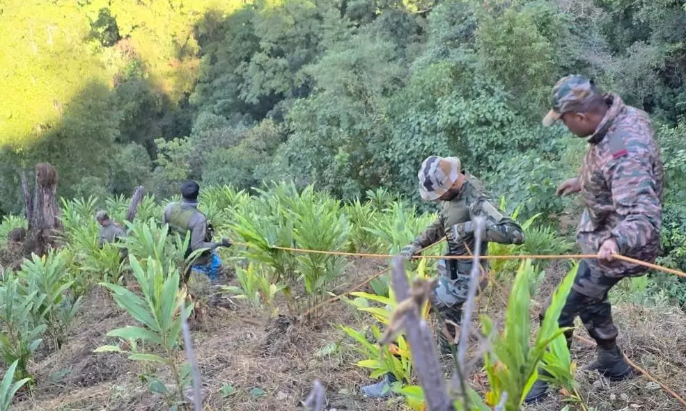 Arunachal accident Arunachal accident