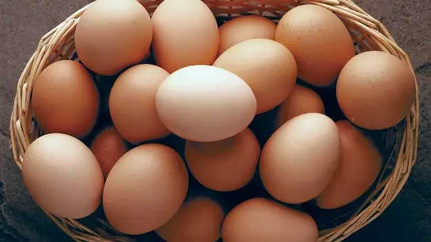 Karnataka collects samples to test claims about cancer causing substances in eggs
