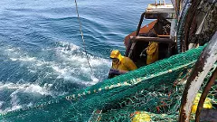 bottom trawler bottom trawler