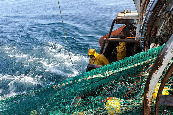 Sri Lankan minister under radar after anti-India protest by JVP leader in Jaffna