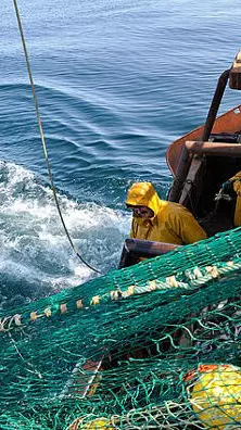 bottom trawler bottom trawler