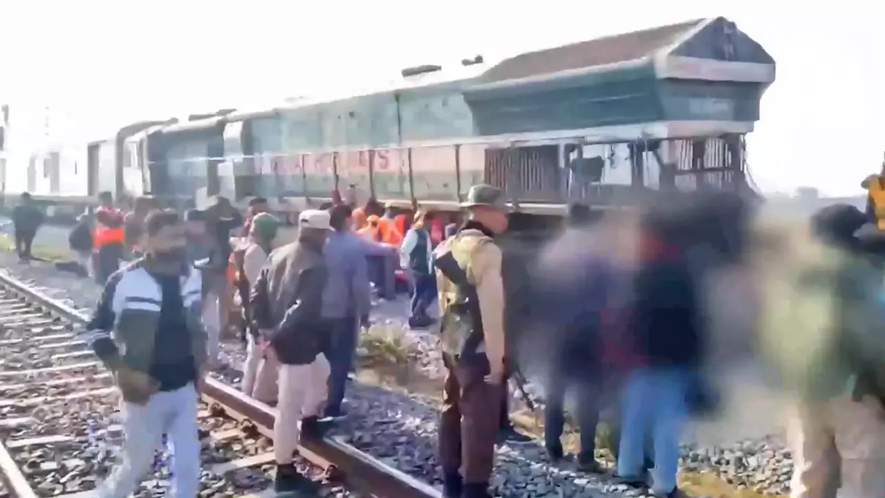 Seven elephants killed after Rajdhani Express hits herd in Assam