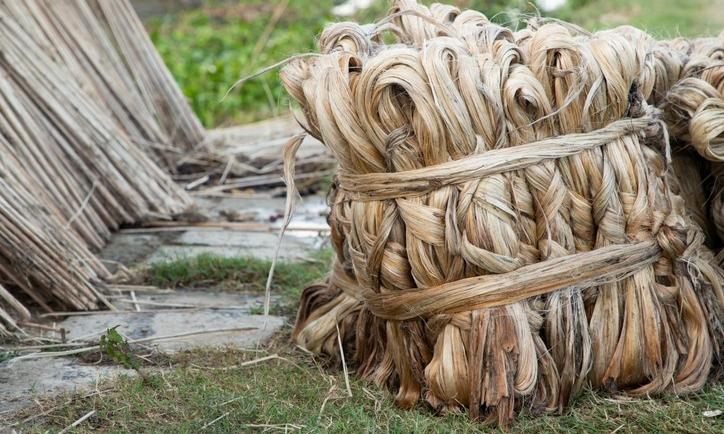 India-Bangladesh trade row hits Bengal jute mills, mill workers hard