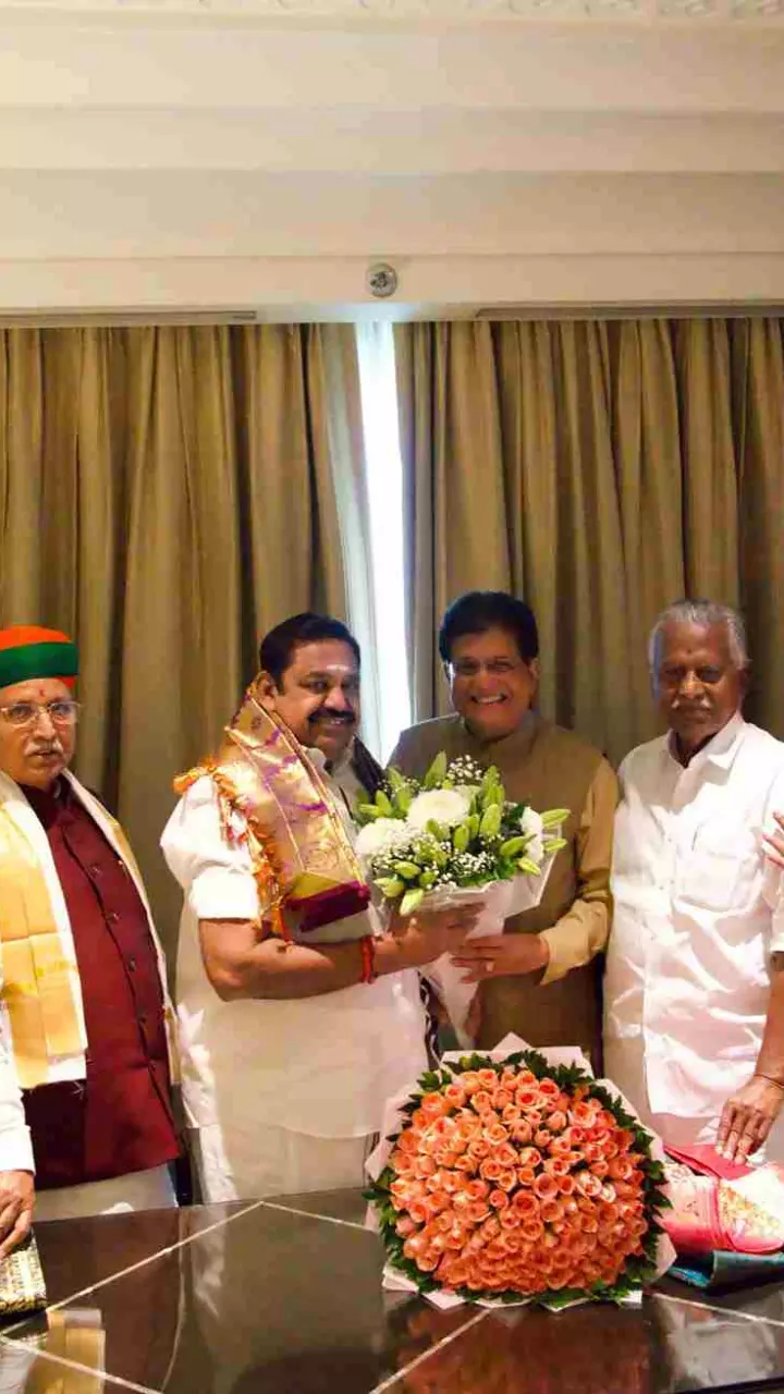 NDA unity on display as Goyal, EPS vow united fight for Tamil Nadu elections