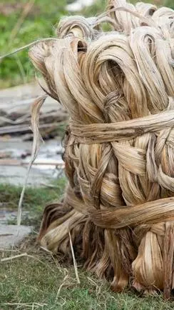 raw jute - bangladesh-india trade dispute hits Bengal jute mills