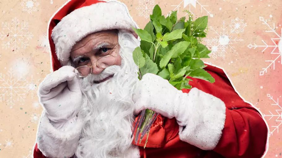 Rajasthan: Education dept in Sriganganagar warns schools against forcing students to dress as Santa