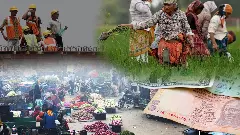 Indias paradox: Rising economic indicators vs falling standard of living