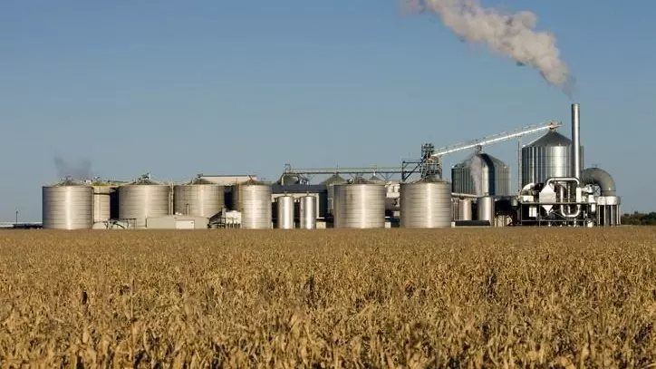 Why Revanth govt faces backlash over new ethanol plant in Vikarabad