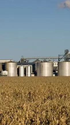 Why Revanth govt faces backlash over new ethanol plant in Vikarabad Why Revanth govt faces backlash over new ethanol plant in Vikarabad