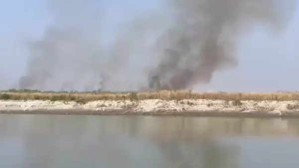 Assam forest created by Padma Shri awardee set ablaze; probe ordered