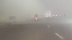 Delhi fog