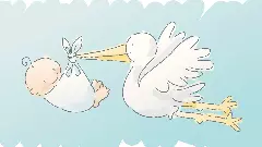 Haryana woman gives birth to son after 10 daughters in high-risk case