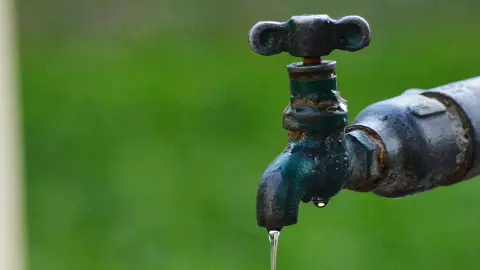 Tap water. Representative Image