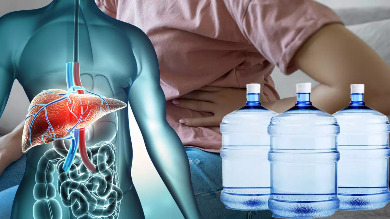 Tamil Nadu households depend on 20-litre packaged drinking water cans amid water scarcity.