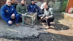 How life has altered for residents of Kashmir villages living with the threat of wildlife attack