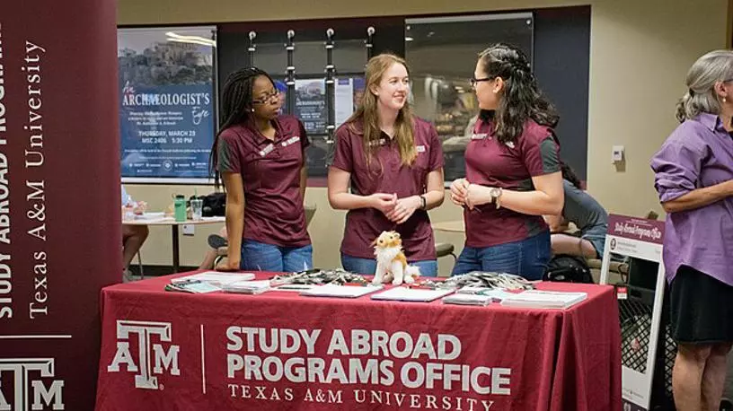 studying abroad programmes