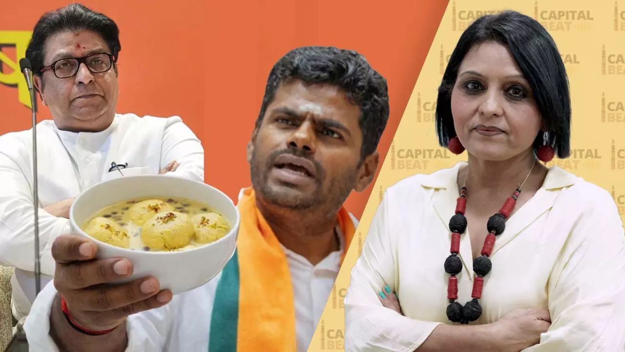 Raj Thackeray’s rasmalai remark sparks political row ahead of BMC polls