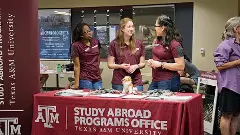 studying abroad programmes