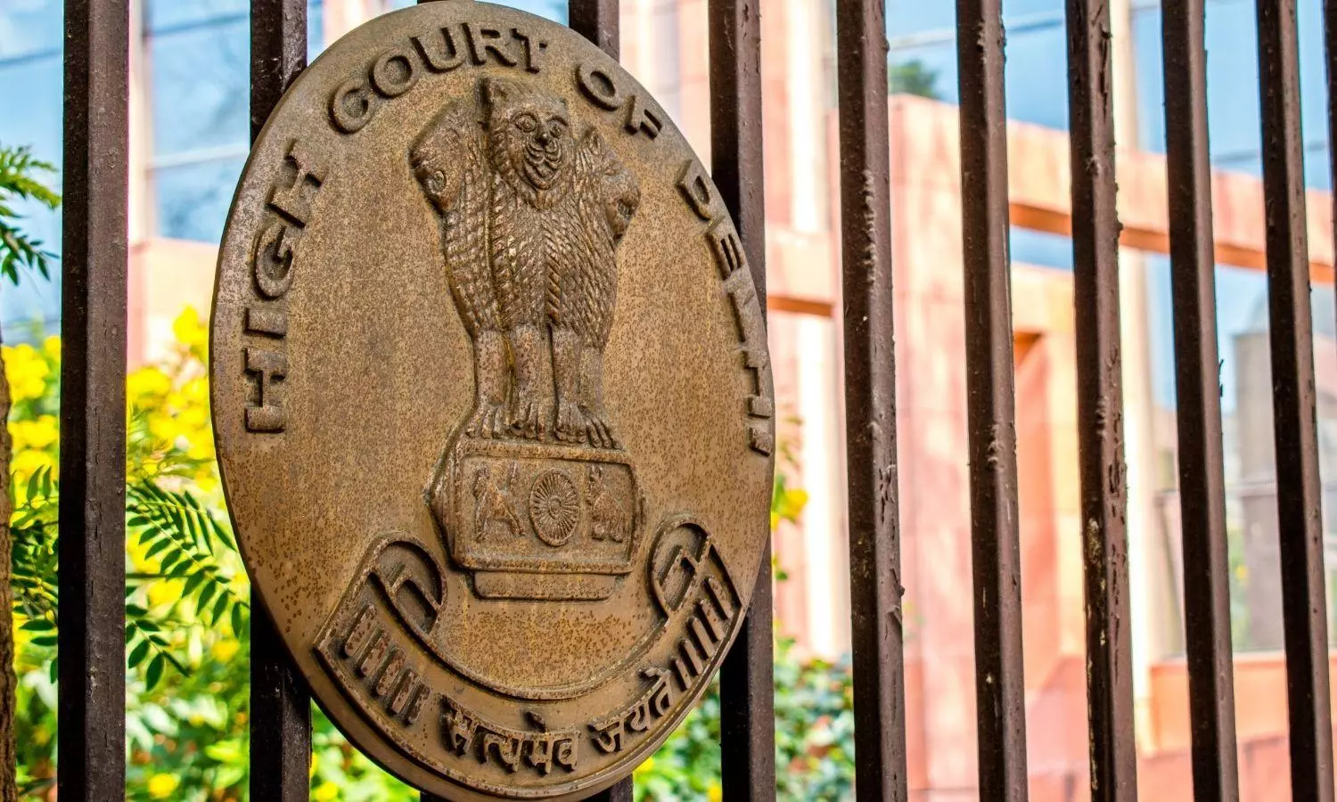 Delhi High Court Delhi High Court