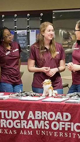 studying abroad programmes