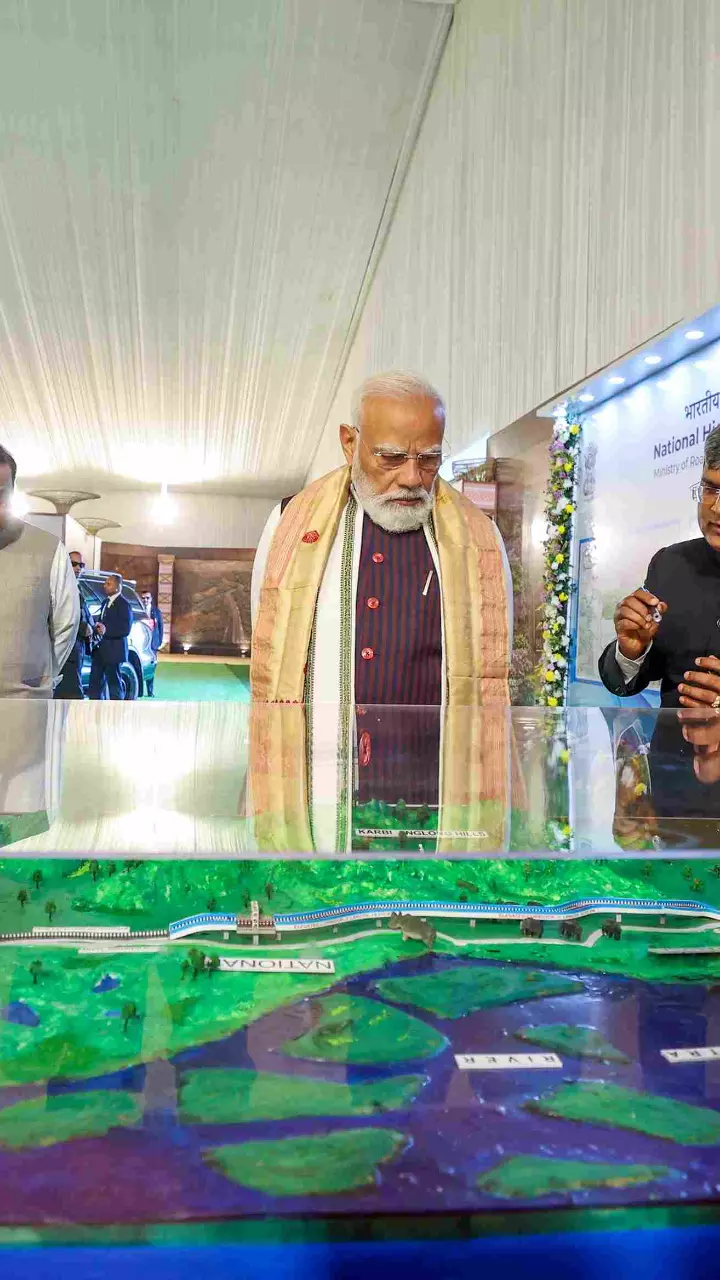 Why Rs 6,959 crore Kaziranga Elevated Corridor Project is crucial for Assams wildlife, connectivity