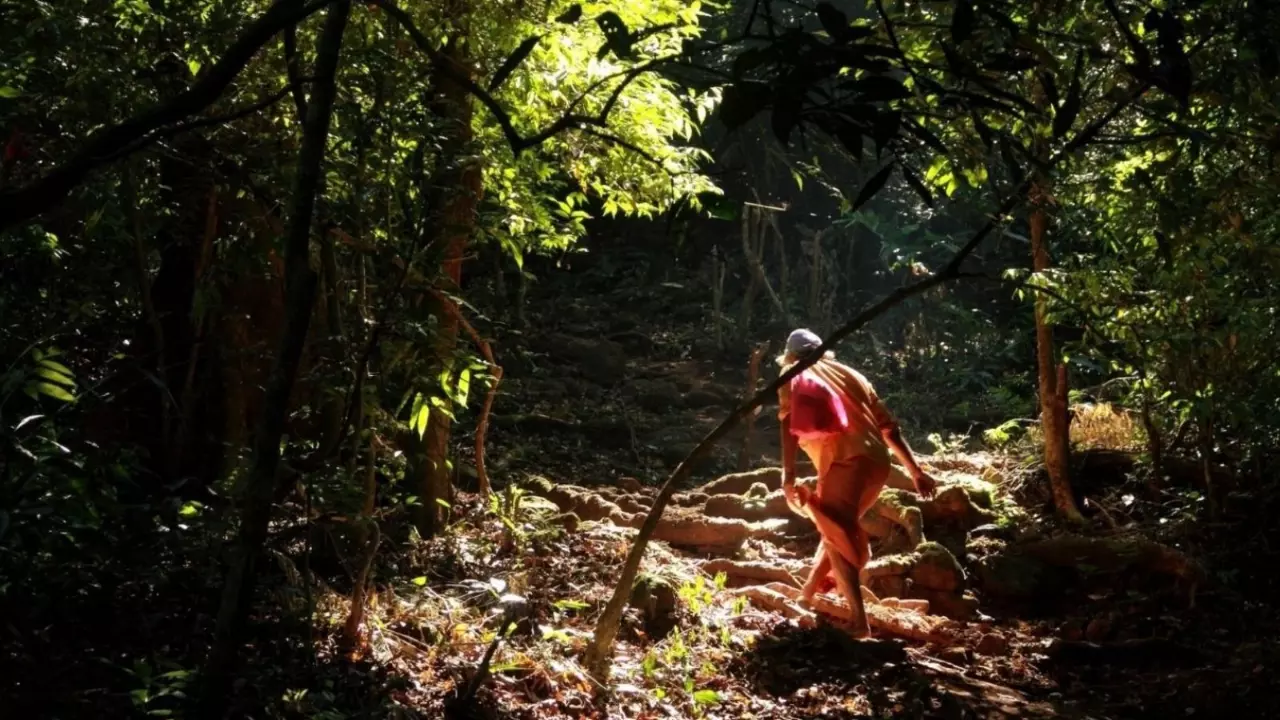 Sabarimala airport plan: Court rules against Kerala govt in Cheruvally land case