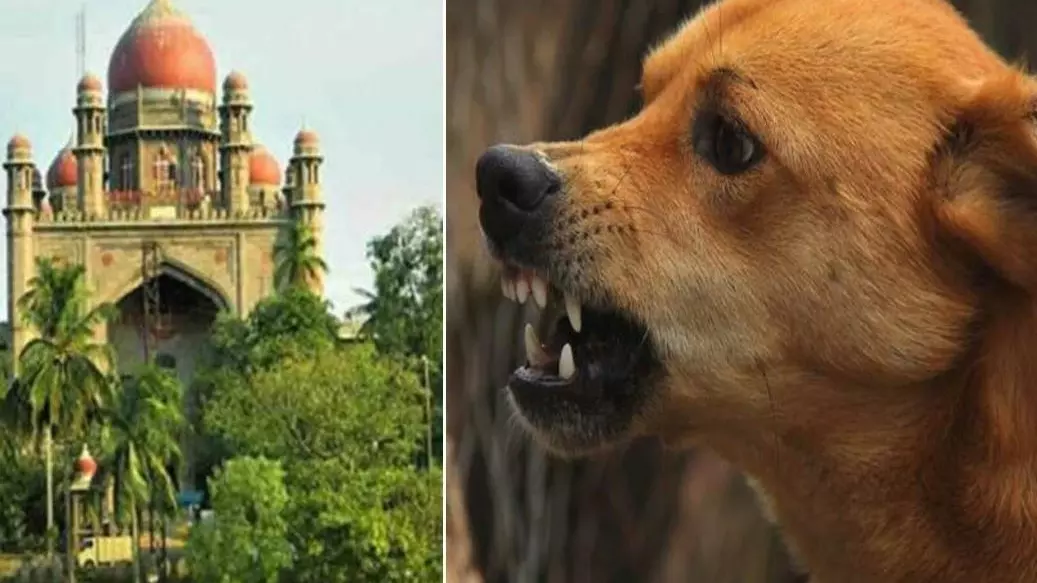 Dog killing Telangana Dog killing Telangana