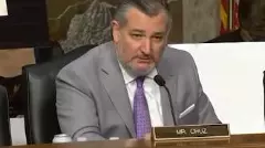 JD Vance, Trump stalling India trade deal, claims Ted Cruz in leaked audio: Report