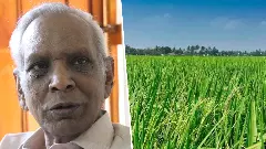 Ebrahimali Abubacker Siddiq