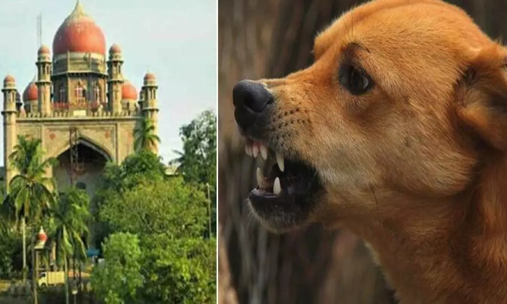 Dog killing Telangana Dog killing Telangana